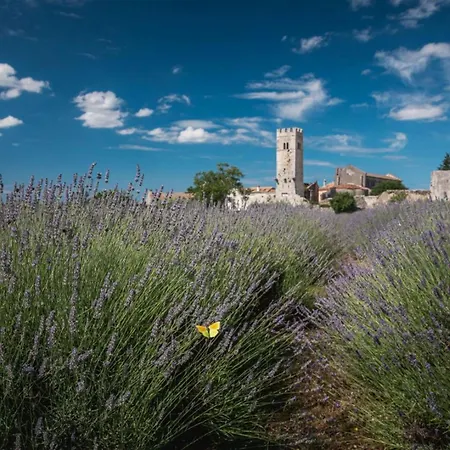 Loredana With Pool In Istria Rural Area 别墅 *